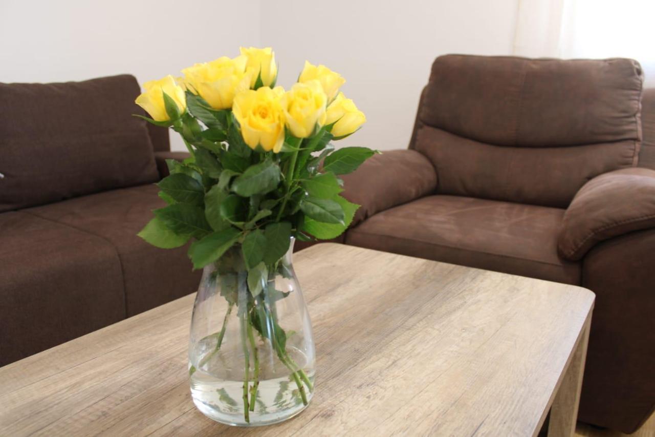 Apartments Renata Seget Donji ภายนอก รูปภาพ
